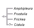 taxon links