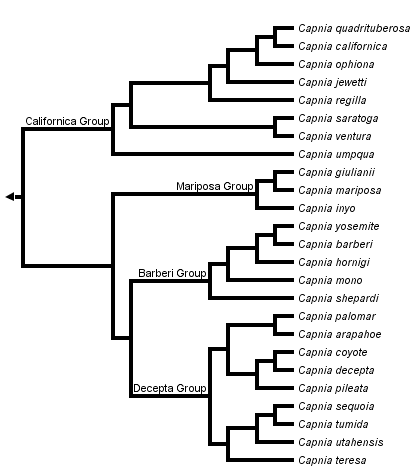 taxon links