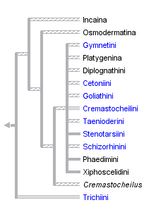 taxon links