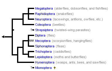 taxon links