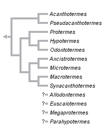 taxon links