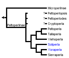 taxon links