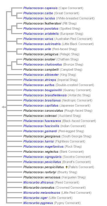 taxon links