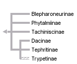 taxon links