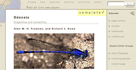 page status is
indicated in the top right corner of a page